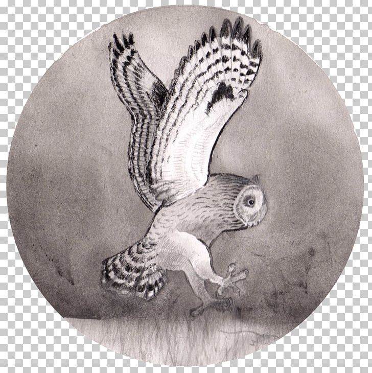 Owl Drawing Fauna /m/02csf Beak PNG, Clipart, Animals, Beak, Bird Of Prey, Black And White, Drawing Free PNG Download