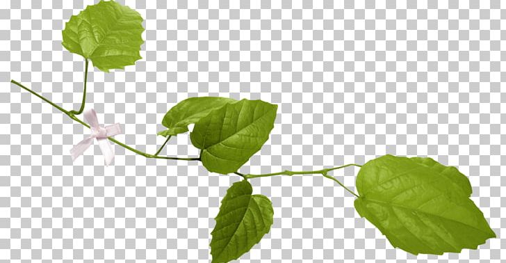 Twig Leaf Branch PNG, Clipart, Blog, Blue, Branch, Clip Art, Download Free PNG Download