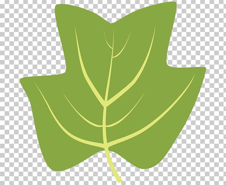 Leaf Tree Silver Maple Bur Oak Sweetgum PNG, Clipart, Arbor Day Foundation, Bur Oak, Green, Juniper, Leaf Free PNG Download