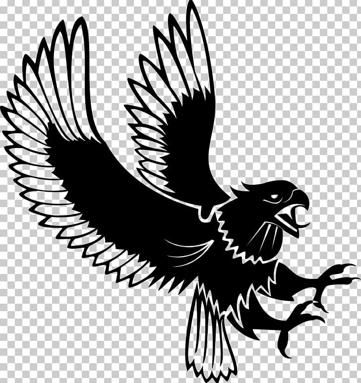 Bald Eagle PNG, Clipart, Animals, Art, Beak, Bird, Bird Of Prey Free PNG Download