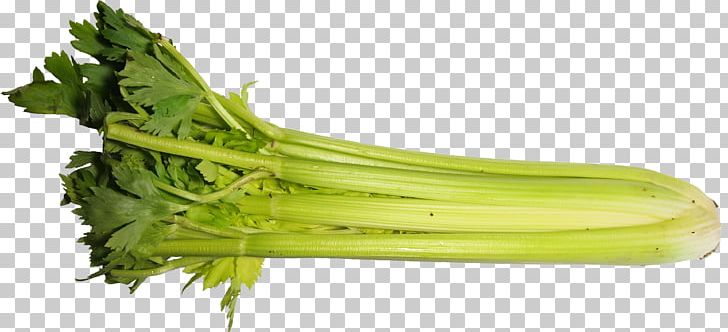 Celery Apium Vegetable Food Celeriac PNG, Clipart, Apiaceae, Apium, Asterids, Broccoli, Calorie Free PNG Download