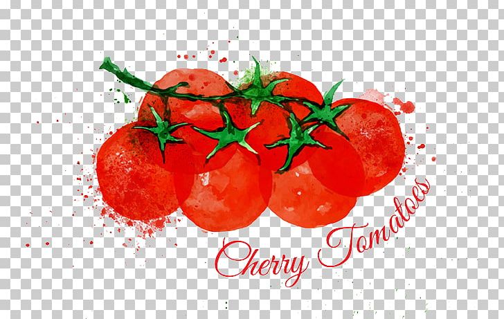 Cherry Tomato Watercolor Painting Lettuce Illustration PNG, Clipart, Cherry, Food, Fruit, Hand, Ink Free PNG Download