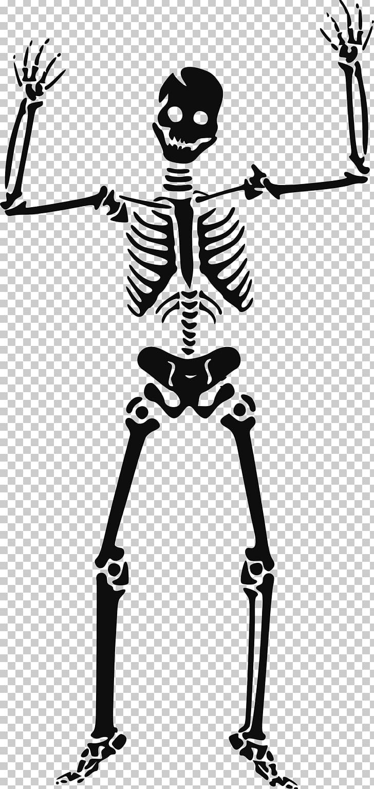 Human Skeleton PNG, Clipart, Animation, Art, Away, Black And White, Bone Free PNG Download