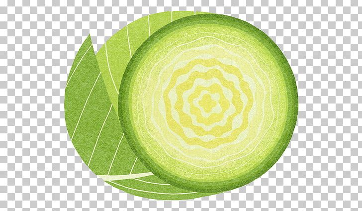 Red Cabbage Vegetable Food Illustration PNG, Clipart, Avocado, Broccoli, Cabbage, Cabbage Leaves, Cartoon Cabbage Free PNG Download