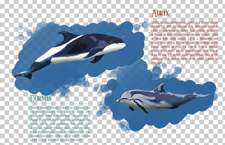 Killer Whale Common Bottlenose Dolphin Wholphin Short-beaked Common Dolphin Tucuxi PNG, Clipart, Advertising, Animals, Art Drawing, Bottlenose Dolphin, Brand Free PNG Download
