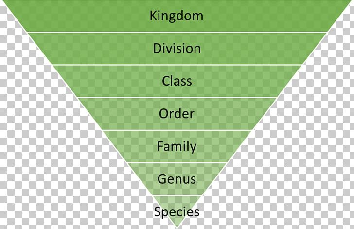 Recycling Reuse Waste Hierarchy Marketing PNG, Clipart, Angle, Area, Brand, Conversion Marketing, Diagram Free PNG Download