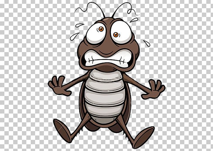 German Cockroach Drawing PNG, Clipart, Animals, Banco De Imagens, Blattella, Cartoon, Cockroach Free PNG Download