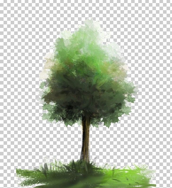 Watercolor Painting Brush Tree PNG, Clipart, Art, Brush, Conifer, Drawing, Evergreen Free PNG Download