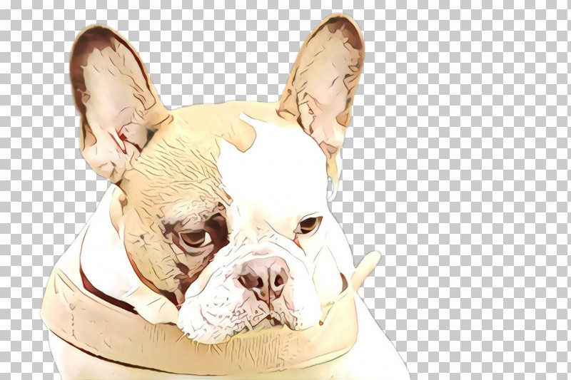 French Bulldog PNG, Clipart, Bulldog, Companion Dog, Dog, Ear, French Bulldog Free PNG Download