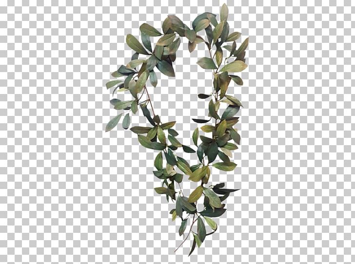 Bay Laurel Garland Laurel Wreath Leaf Branch PNG, Clipart, Artificial Flower, Bay Laurel, Bay Leaf, Branch, Cut Flowers Free PNG Download