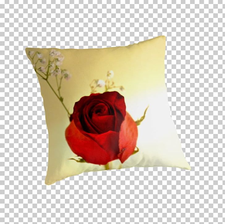 Garden Roses Throw Pillows Cushion PNG, Clipart, Cushion, Flower, Flowering Plant, Garden, Garden Roses Free PNG Download