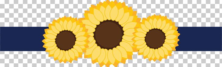 Common Sunflower Wedding Invitation Stationery Ribbon PNG, Clipart, Anemone, Common Sunflower, Daisy Family, Environmental Research, Flower Free PNG Download