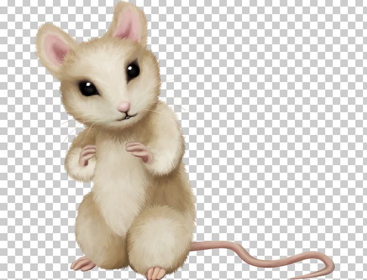 Mouse Rat PNG, Clipart, Animal, Animals, Caricature, Cartoon, Data Free PNG Download