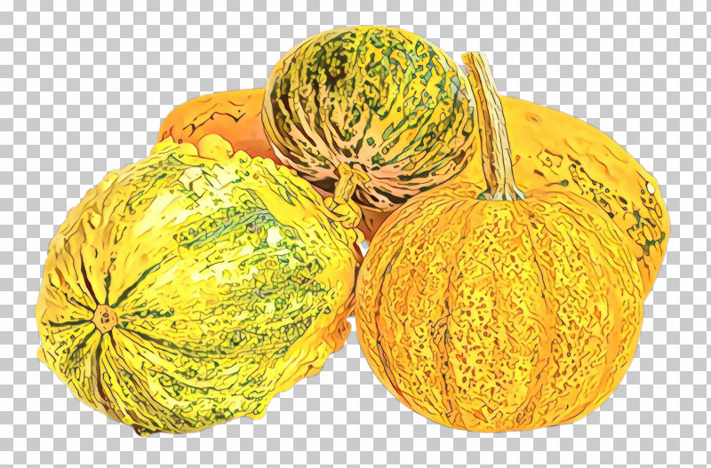 Pumpkin PNG, Clipart, Cucurbita, Food, Fruit, Muskmelon, Natural Foods Free PNG Download