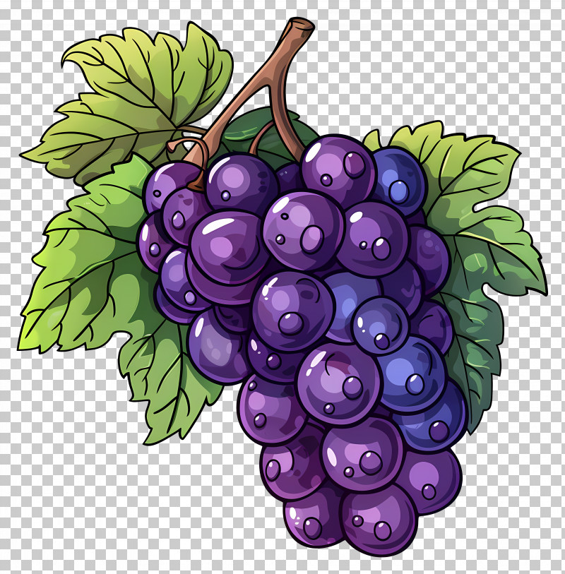 Purple Grapes With Leaves - Purple Grapes Cluster With Green Leaves PNG