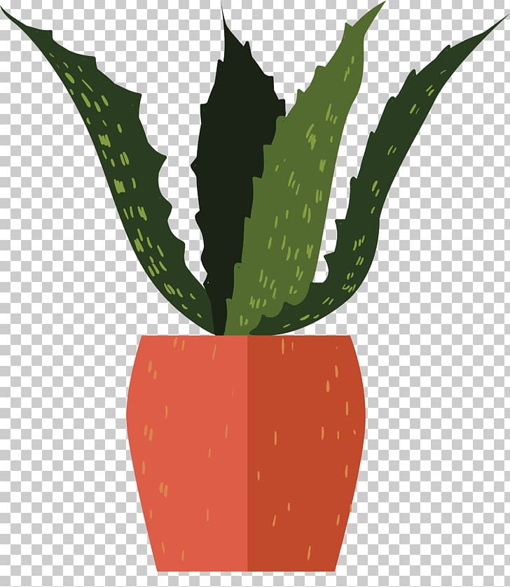 Aloe Vera Euclidean Flowerpot Vecteur PNG, Clipart, Adobe Illustrator, Aloe, Aloe Vector, Background Green, Bonsai Free PNG Download