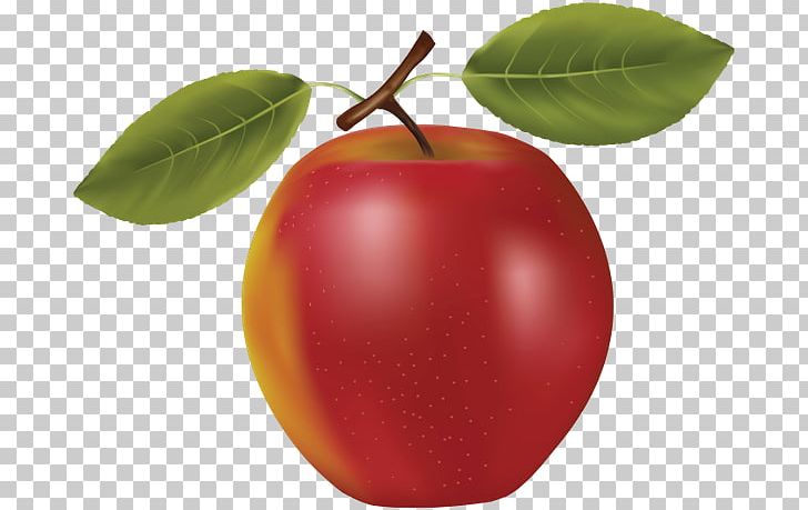 Barbados Cherry Apple Apricot Fruit PNG, Clipart, Accessory Fruit, Acerola, Apple, Apricot, Barbados Cherry Free PNG Download
