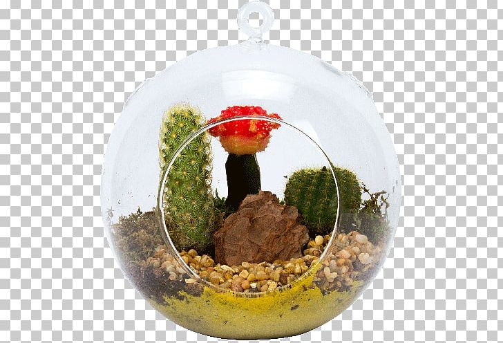 Flowerpot Plant PNG, Clipart, Christmas Ornament, Flowerpot, Food Drinks, Plant Free PNG Download