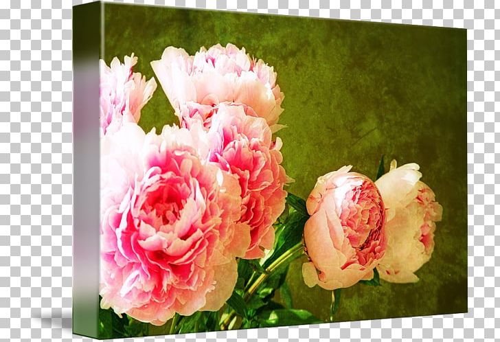 Garden Roses Cabbage Rose Floral Design Cut Flowers Flower Bouquet PNG, Clipart, Cut Flowers, Family, Floral Design, Floristry, Flower Free PNG Download