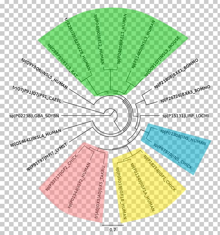 Line Angle Material Diagram PNG, Clipart, Angle, Art, Circle, Diagram, Green Free PNG Download