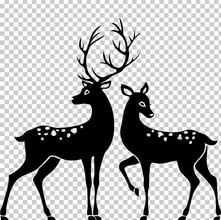 White-tailed Deer Silhouette Stag And Doe PNG, Clipart, Animals, Antler, Black And White, Buck, Clip Art Free PNG Download