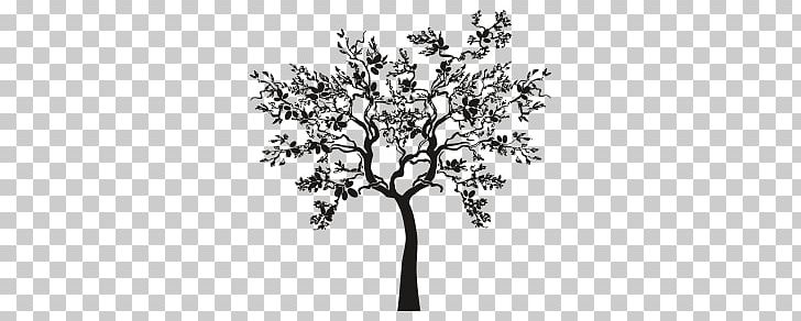 Olive Branch Tree Drawing PNG, Clipart, Black And White, Branch, Creative Market, Flora, Flower Free PNG Download