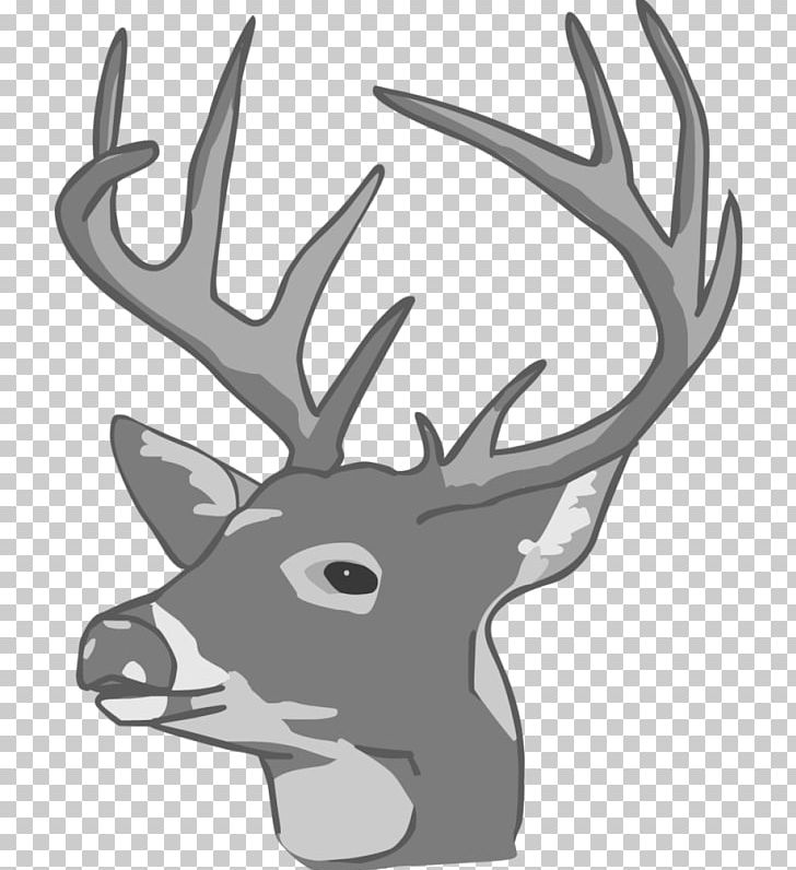 White-tailed Deer Moose Reindeer Elk PNG, Clipart, Antler, Black And White, Deer, Drawing, Elk Free PNG Download