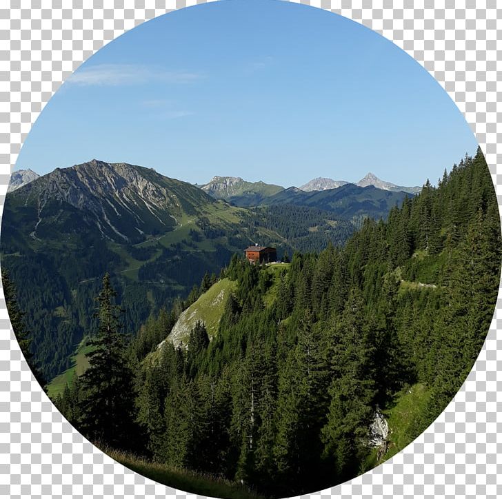 Mount Scenery Alps National Park Biome Hill Station PNG, Clipart, Alps, Biome, Blick, Ecosystem, Escarpment Free PNG Download