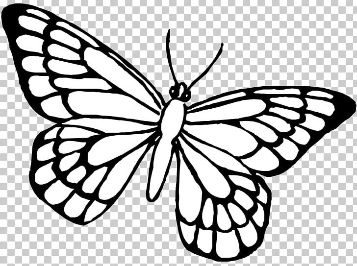 Butterfly Drawing Coloring Book Insect PNG, Clipart, Art, Artwork, Black And White, Brush Footed Butterfly, Color Free PNG Download