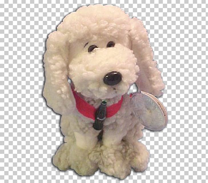 Standard Poodle Toy Poodle Miniature Poodle Cockapoo Puppy PNG, Clipart, Animals, Carnivoran, Cocacola, Cockapoo, Companion Dog Free PNG Download