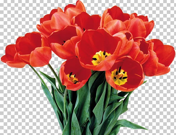Flower Bouquet International Women's Day PNG, Clipart, Birthday, Christmas, Cut Flowers, Defender Of The Fatherland Day, Flower Free PNG Download