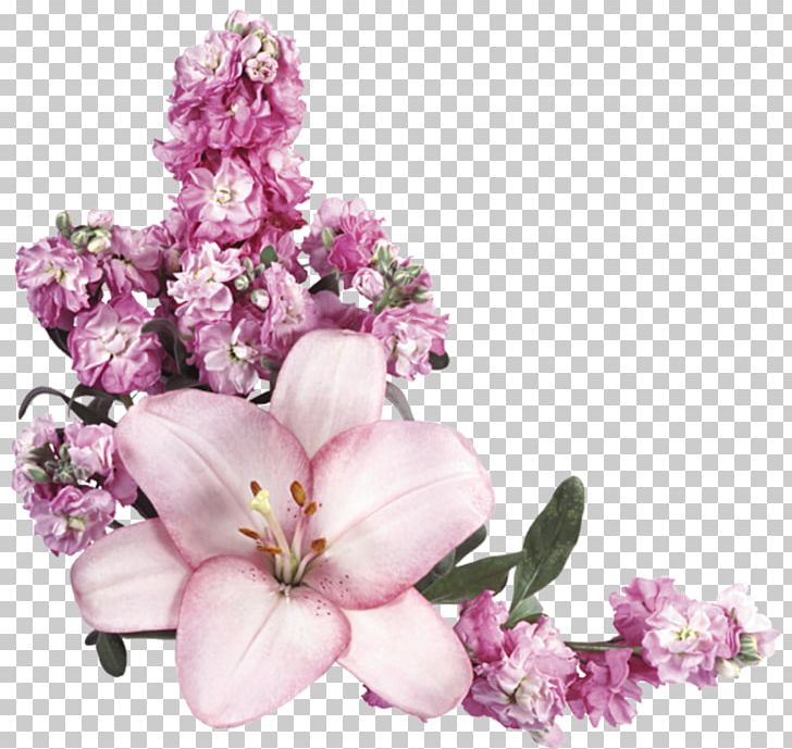 Flower PNG, Clipart, Blossom, Branch, Cherry Blossom, Cut Flowers, Digital Image Free PNG Download