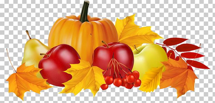 Zucchini Pumpkin Autumn PNG, Clipart, Autumn, Autumn Leaves, Bell Peppers And Chili Peppers, Calabaza, Cucurbita Free PNG Download