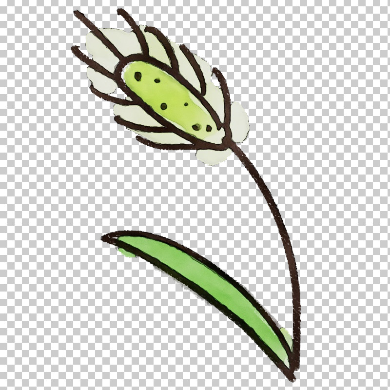 Leaf Insect Plant Flower Blister Beetles PNG, Clipart, Blister Beetles, Flower, Insect, Leaf, Paint Free PNG Download