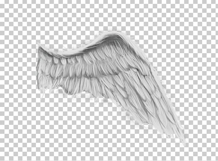 Angel Wing Painting Drawing PNG, Clipart, Angel, Angel Wing, Art, Artwork, Bird Free PNG Download