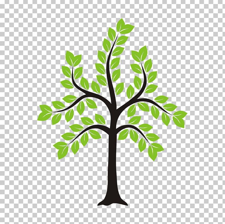 Sticker Tree Leaf Plant Stem PNG, Clipart, Branch, Ceramic, Flower, House, Leaf Free PNG Download
