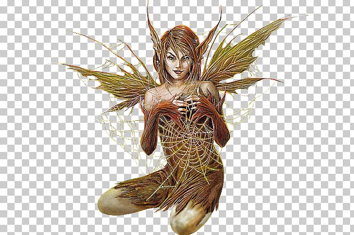 Fairy Elf TinyPic Mythology PNG, Clipart, Angel, Blog, Elf, Fairy, Fgo Free PNG Download