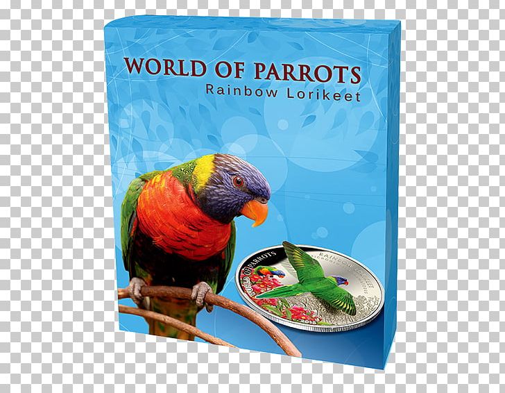 Parrot Macaw Loriini Bird Rainbow Lorikeet PNG, Clipart, Advertising, Banknote, Beak, Bird, Bird Supply Free PNG Download