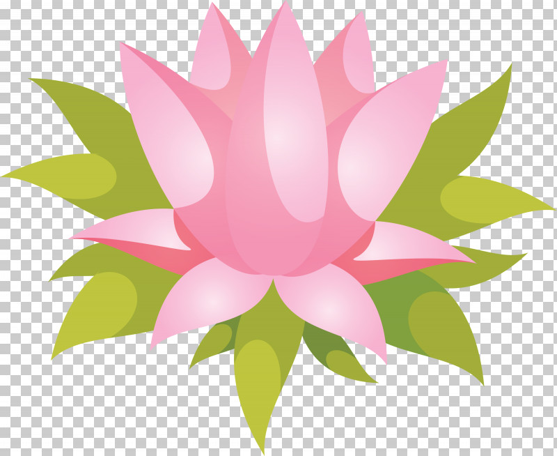 Floral Design PNG, Clipart, Aquatic Animal, Aquatic Plant, Closeup, Computer, Floral Design Free PNG Download