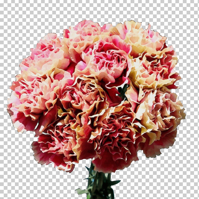 Garden Roses PNG, Clipart, Annual Plant, Artificial Flower, Cabbage Rose, Carnation, Cut Flowers Free PNG Download