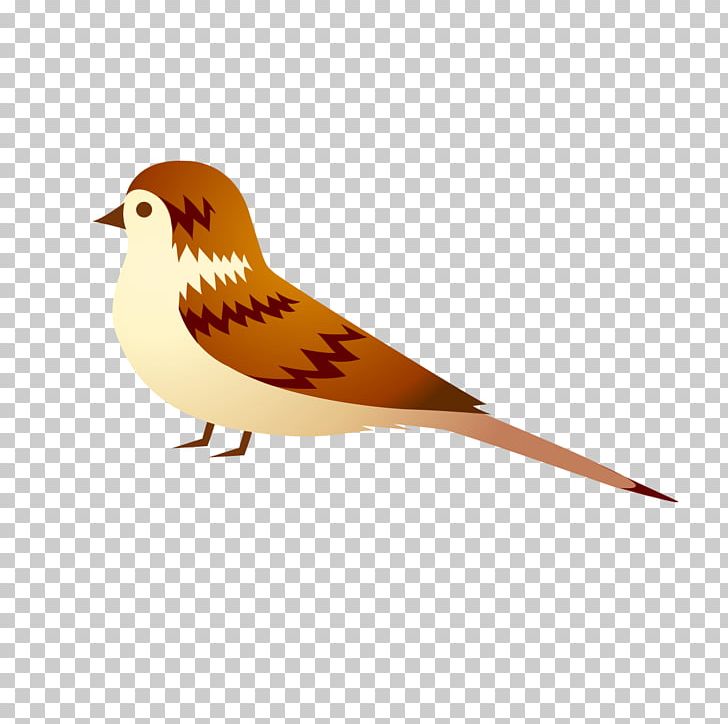 Flight Bird Beak PNG, Clipart, Animal, Animal Material, Animals, Beak, Bird Free PNG Download