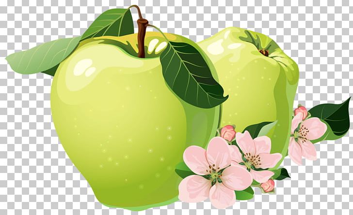 Granny Smith Apple Auglis PNG, Clipart, Blue, Blue Flower, Diet Food, Encapsulated Postscript, Euclidean Vector Free PNG Download