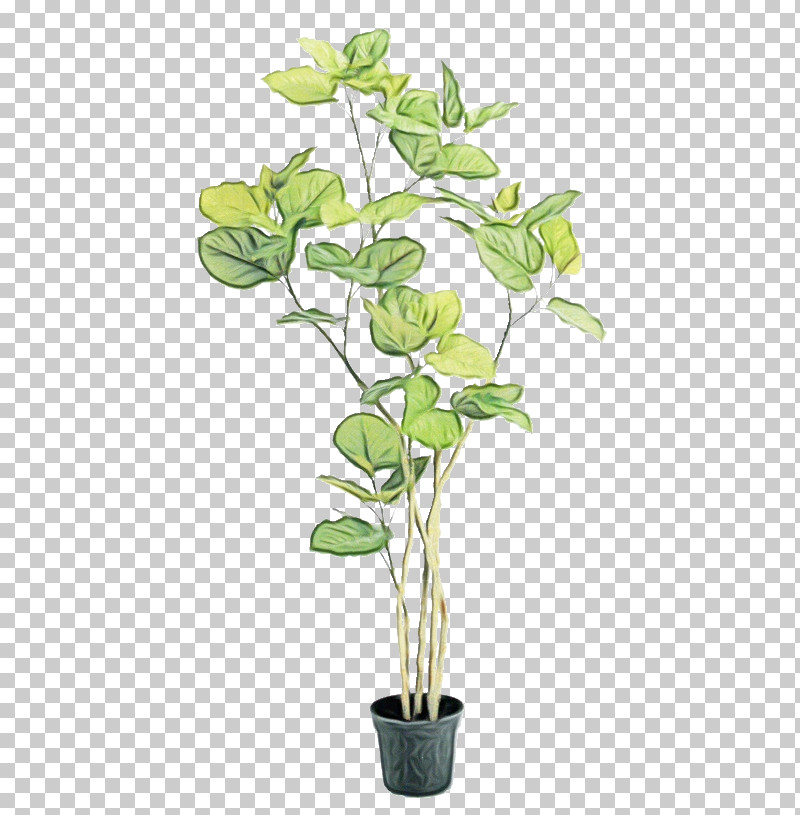Flower Plant Flowerpot Houseplant Plant Stem PNG, Clipart, Anthurium, Branch, Flower, Flowerpot, Houseplant Free PNG Download
