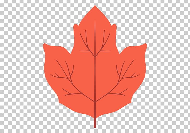 Maple Leaf Red Maple Petal Autumn PNG, Clipart, Autumn, Autumn Leaf Color, Color, Flower, Flowering Plant Free PNG Download