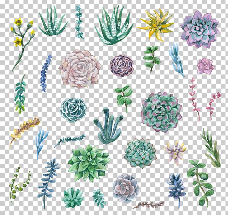 Watercolor Painting Succulent Plant PNG, Clipart, Art, Cactaceae, Drawing, Flora, Floral Design Free PNG Download