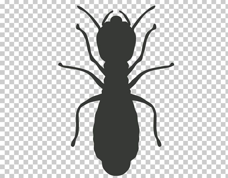 Cockroach Mosquito Pest Control Termite PNG, Clipart, Animals, Arthropod, Bangalore, Bed Bug, Black And White Free PNG Download