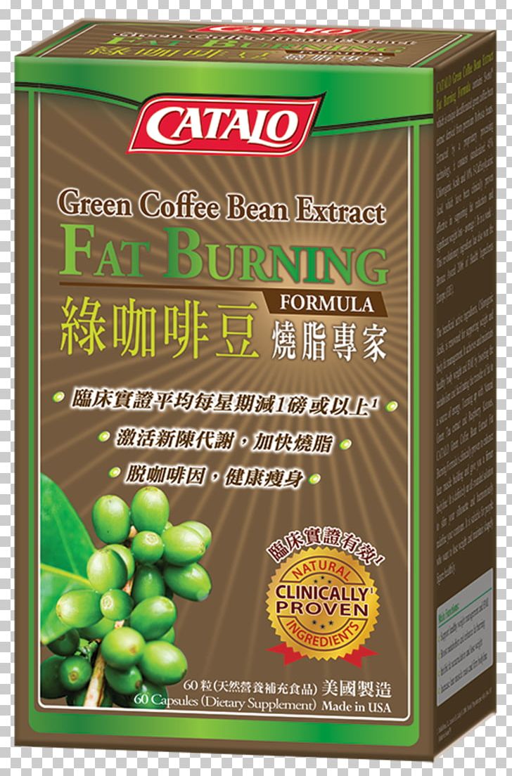 Coffee Bean Green Coffee Extract CATALO Food PNG, Clipart, Baking, Capsule, Coffee, Coffee Bean, Dietary Supplement Free PNG Download