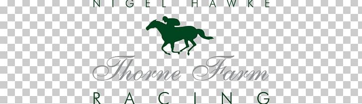 Horse Racing Stoodleigh Farm PNG, Clipart, 2018, Animals, Brand, Computer Wallpaper, Desktop Wallpaper Free PNG Download