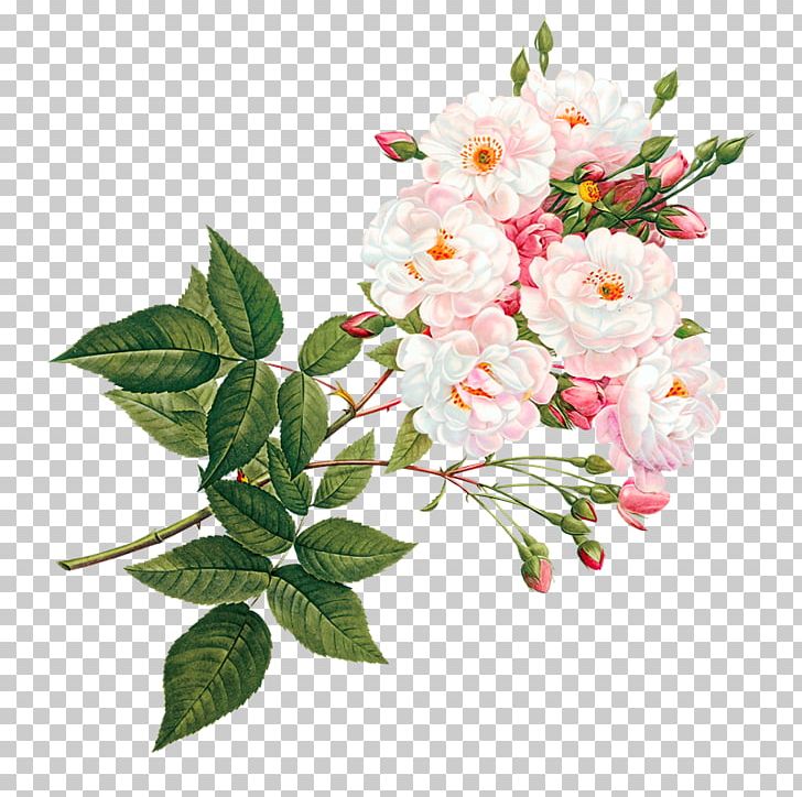 Download Pink And White Flowers Png Png Gif Base