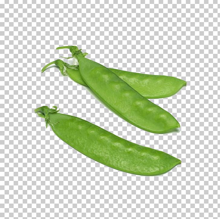 Snow Pea Vegetable Ni Wo Ha PNG, Clipart, Bamboo Shoot, Bean, Butterfly Pea, Butterfly Pea Flower, Cartoon Peas Free PNG Download
